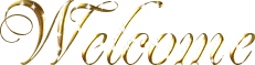 Welcomebanner 22